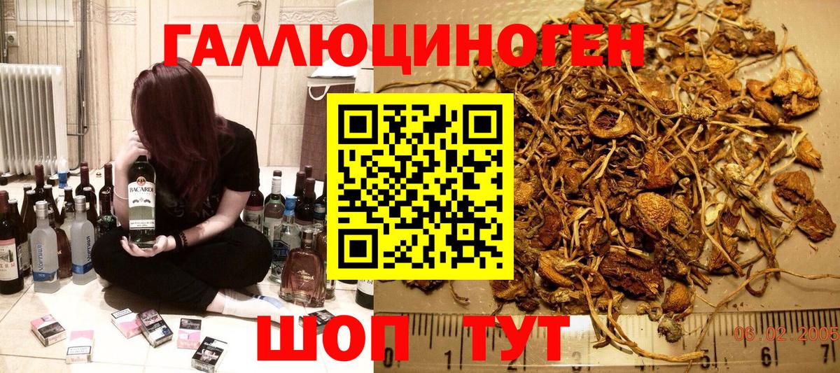 Южноуральск  Галлюциногенные грибы Psilocybe  Вход с VPN 
